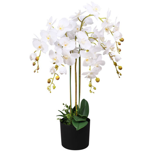 Primrue Artificial Orchid Plant with Pot Fake Orchid for Office 29.5